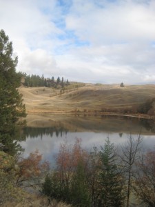 Kamloops Real Estate Property for Sale
