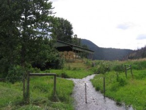 Barnhartvale Acreage Homes for Sale