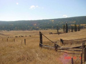 Barnhartvale Acreage Kamloops Real Estate