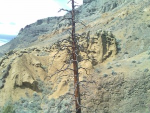 Hiking in the Hoodoos of Brocklehurst, Kamloops