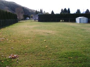 rayleigh kamloops large yard 300x225 Neighbourhood Profile: Rayleigh, Kamloops, B.C. Real Estate