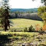 savona property for sale kamloops 150x150 Neighbourhood Profile: Savona & Tobiano, Kamloops, B.C. Real Estate