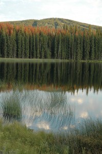 Lac Le Jeune 199x300 Kamloops And Area Recreational Properties And Lakefront Real Estate