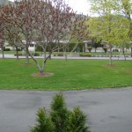 Oakdale Way Mobile Home Park Kamloops Seniors Real Estate 150x150 Kamloops Real Estate Seniors 55+ Living