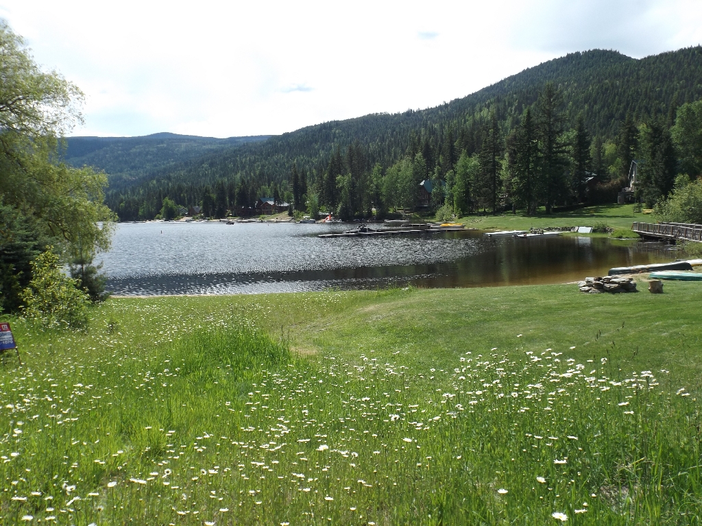 East Barriere Lake 12.2 4260 Barriere Lakes Road East, East Barriere