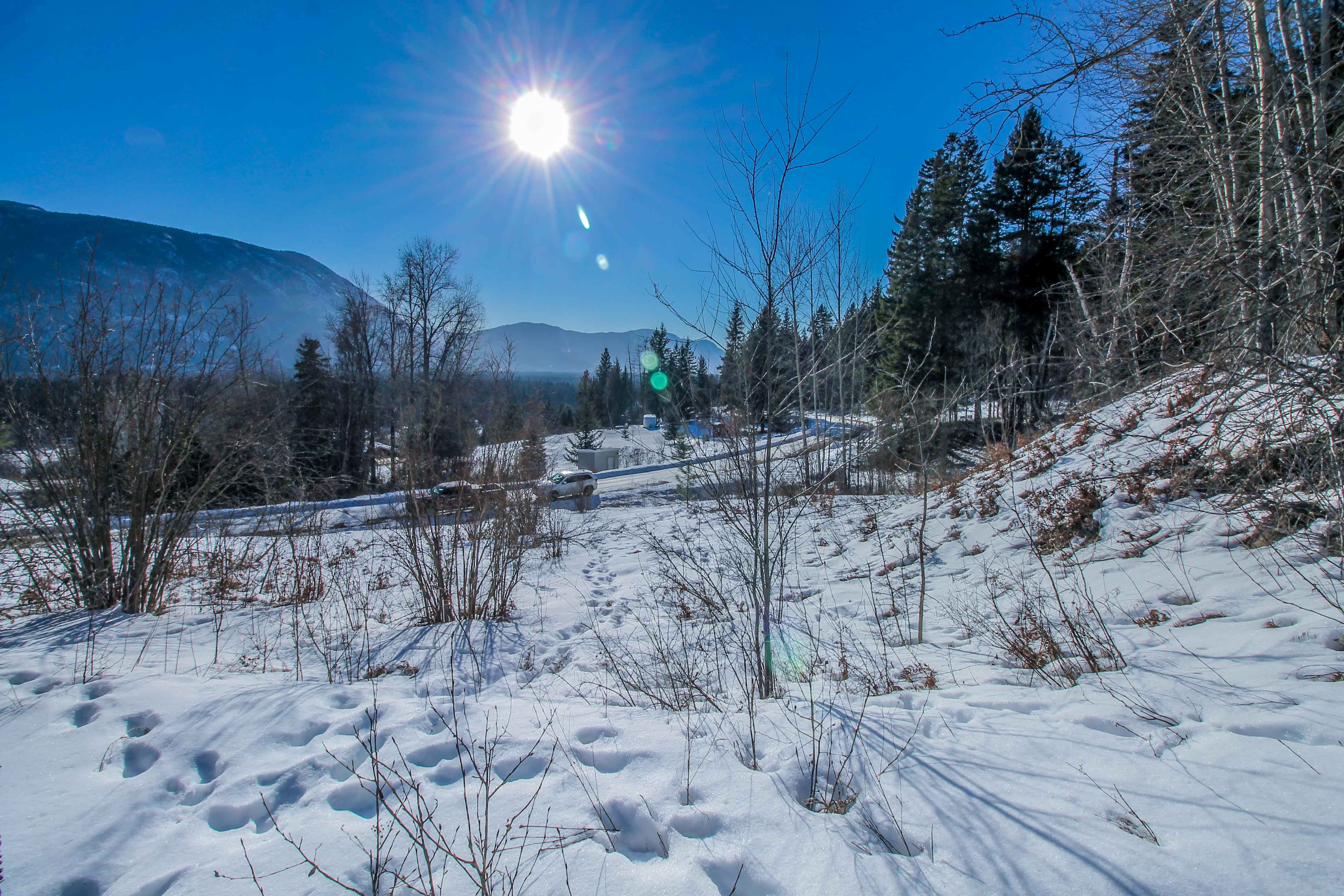 New Listing 262481 Squilax Anglemont Road, Lee Creek, North Shuswap, BC