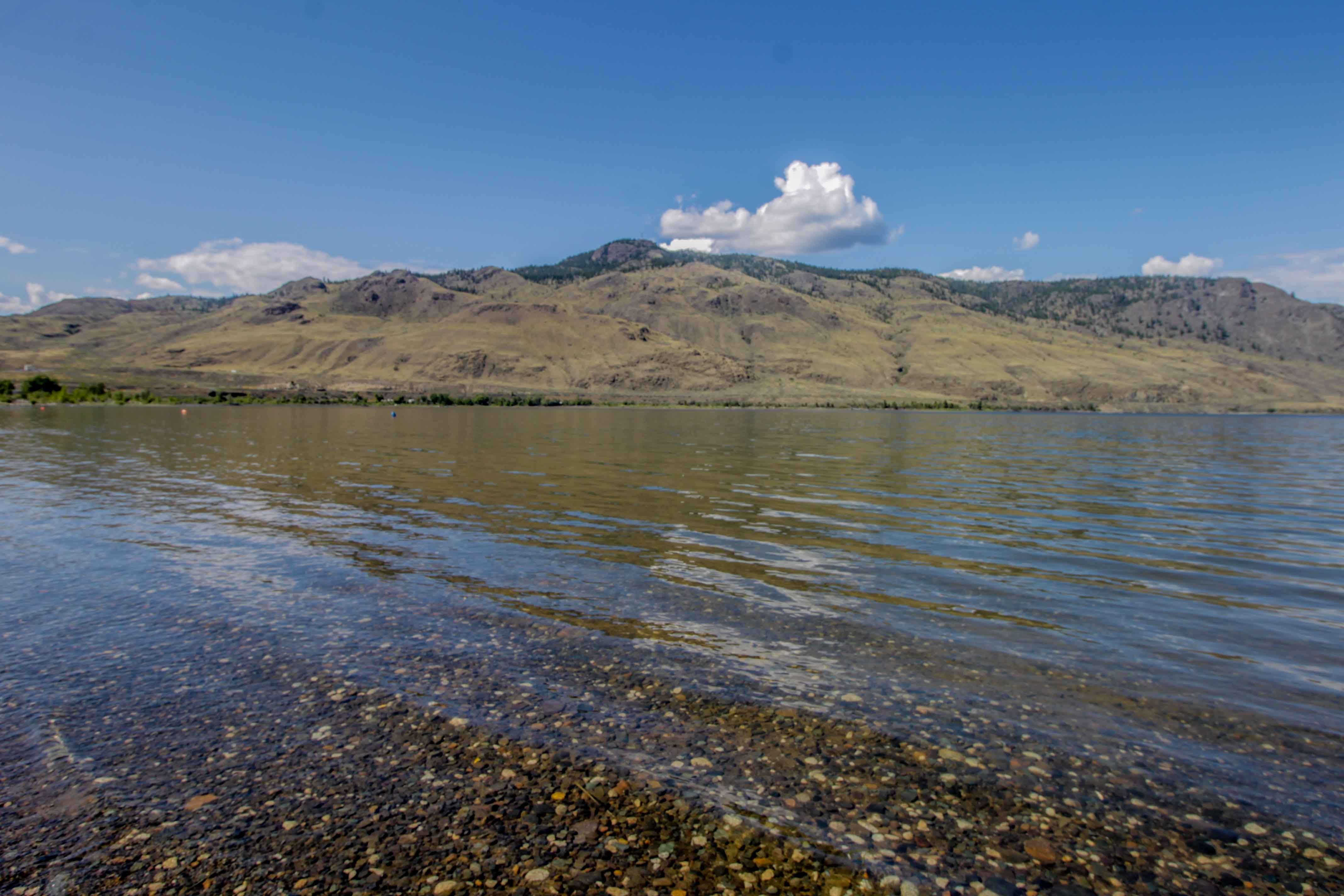 New Listing 6289 Savona Access Road, Savona, Kamloops, BC 389,000