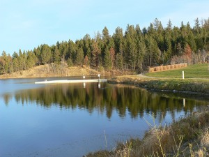 Logan lake