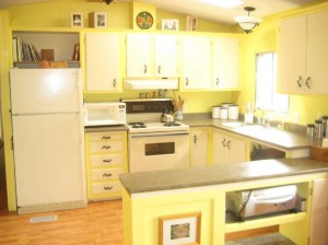 Kamloops Home for sale 70-2401 Ord Rd kitchen  