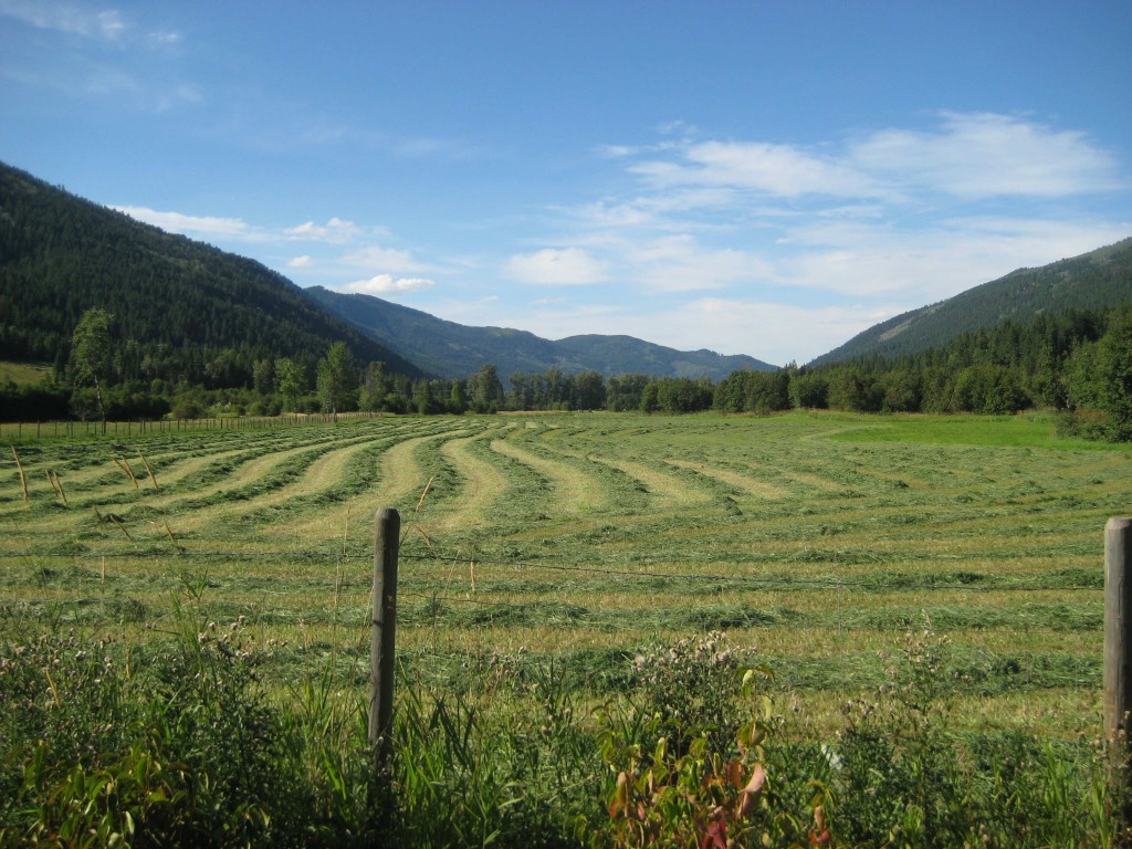 Featured Property 4749 Heffley Louis Creek Road, Heffley, Kamloops, B