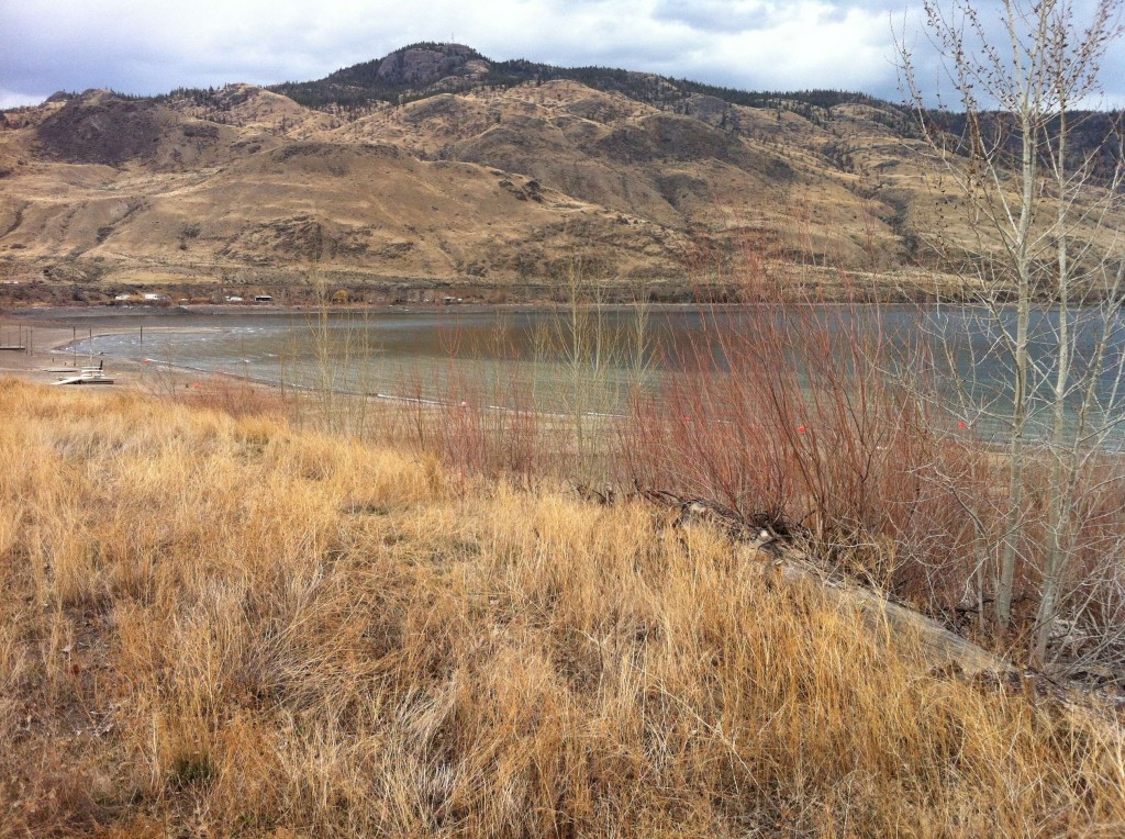 Kamloops Property for Sale 6253 Savona Access Road, Savona, B.C