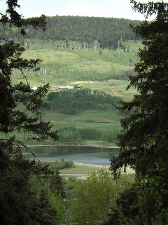 Kamloops Home For Sale 3350 Henderson Road, Pinantan Lake, B.C