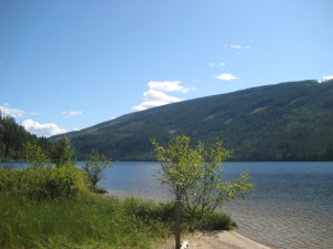 View of East Barriere Lake Kamloops BC Real Estate