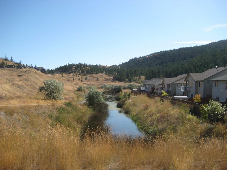 Pineview Valley, Kamloops, B.C. Real Estate Kamloops Real Estate Blog