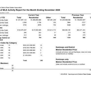 MLS Activity Kamloops Real Estate Statistics November 2020